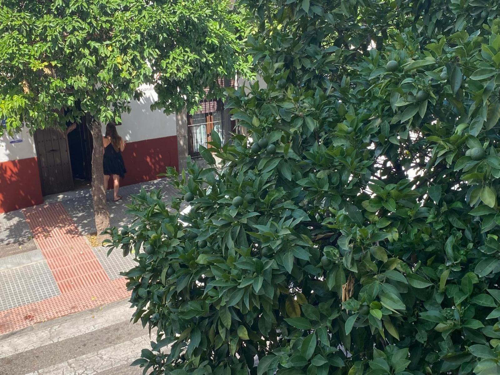 La Escalerita Appartement Córdoba Buitenkant foto